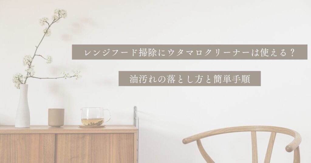 現在の画像に代替テキストがありません。ファイル名: 片付け苦手でもできる!-17.jpg